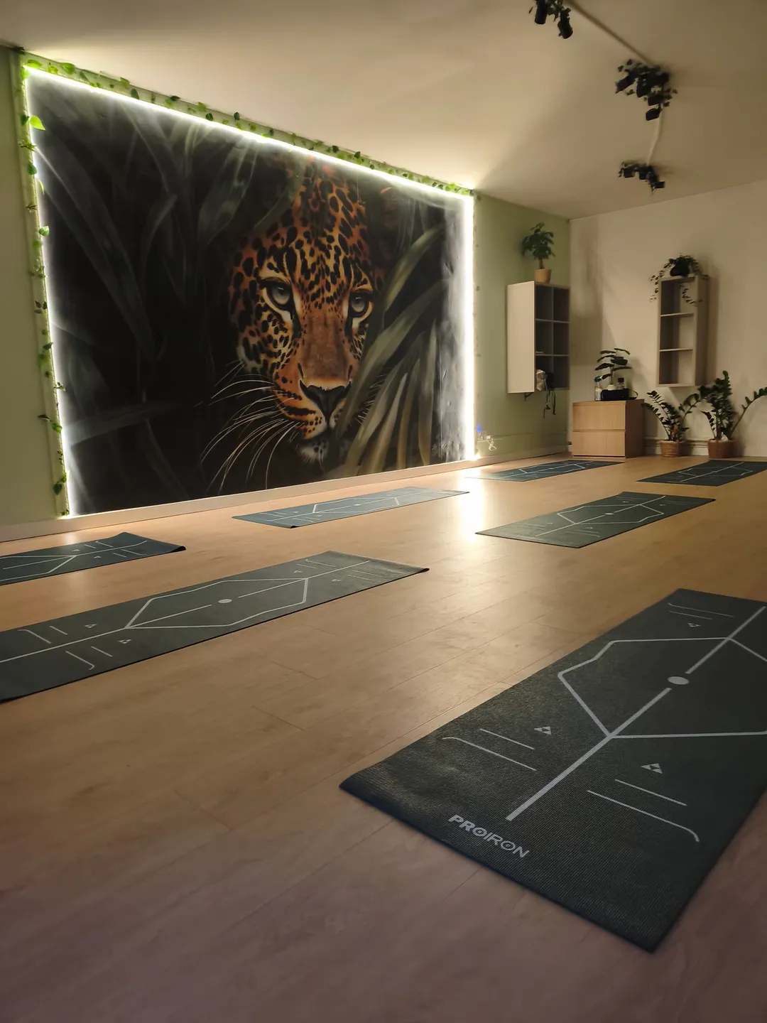 Cours de Pilates Mat au sol au Jungle Studio